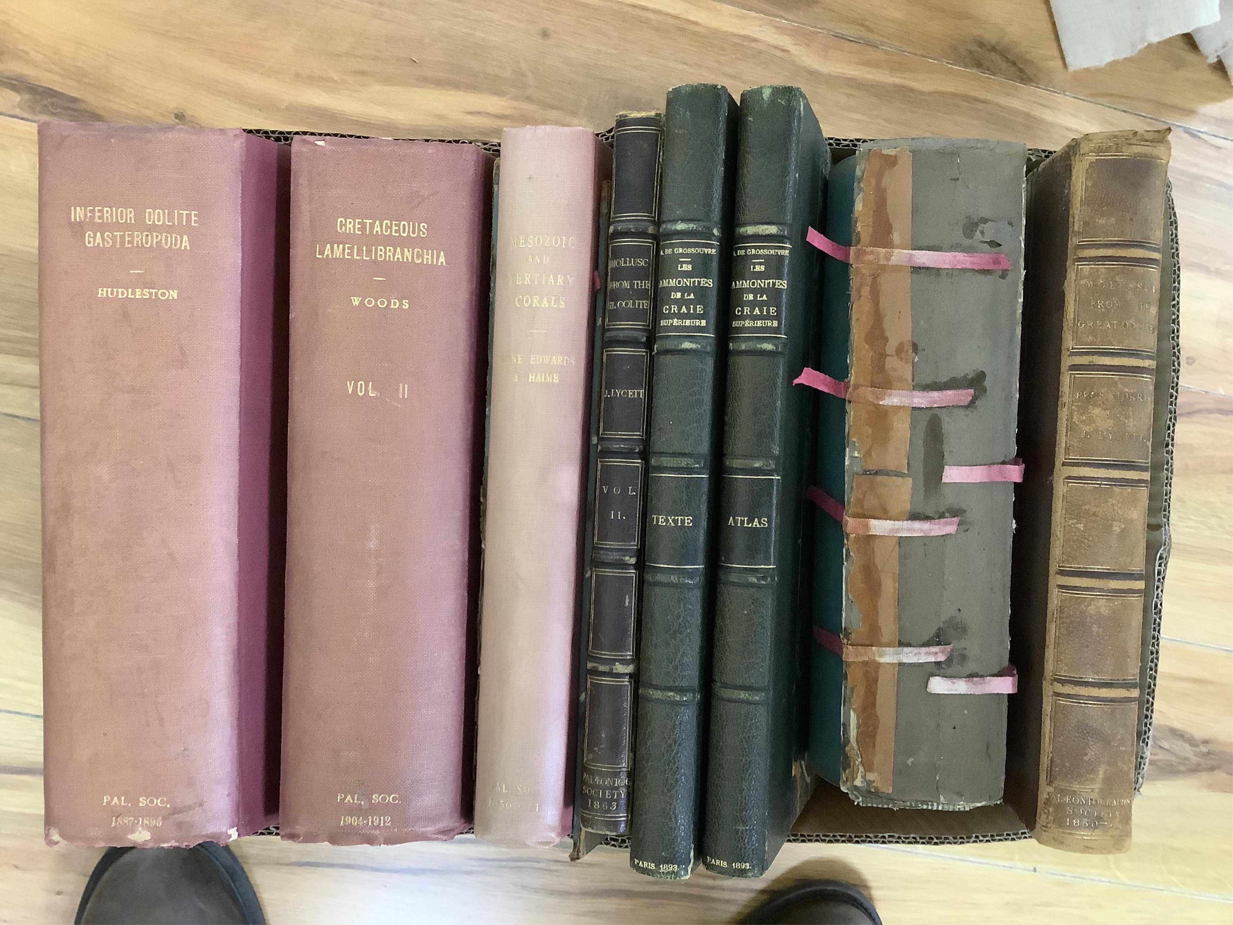 A quantity of various books to include English Corallian Ammonites, Genesis of The Rietidae, Lyells Geology etc.